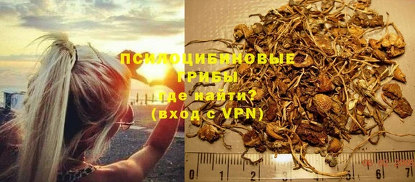 индика Абдулино