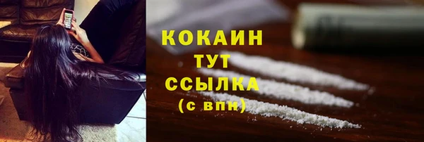 индика Абдулино
