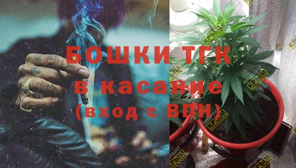 индика Мегион