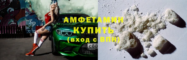 индика Мегион