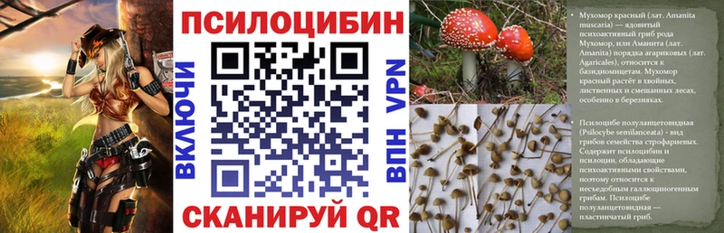 Псилоцибиновые грибы Cubensis  Новокузнецк 